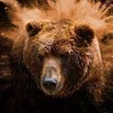 SUPERYUPO PLUS Avatar DE