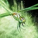 YUPO TRANSLUCENT Avatar DE