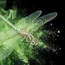 YUPO TRANSLUCENT Avatar DE