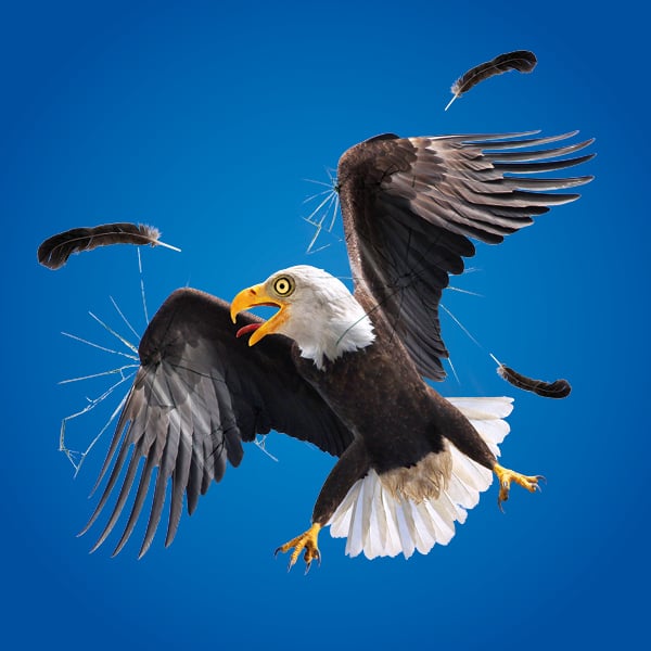 YUPOJelly Application 01